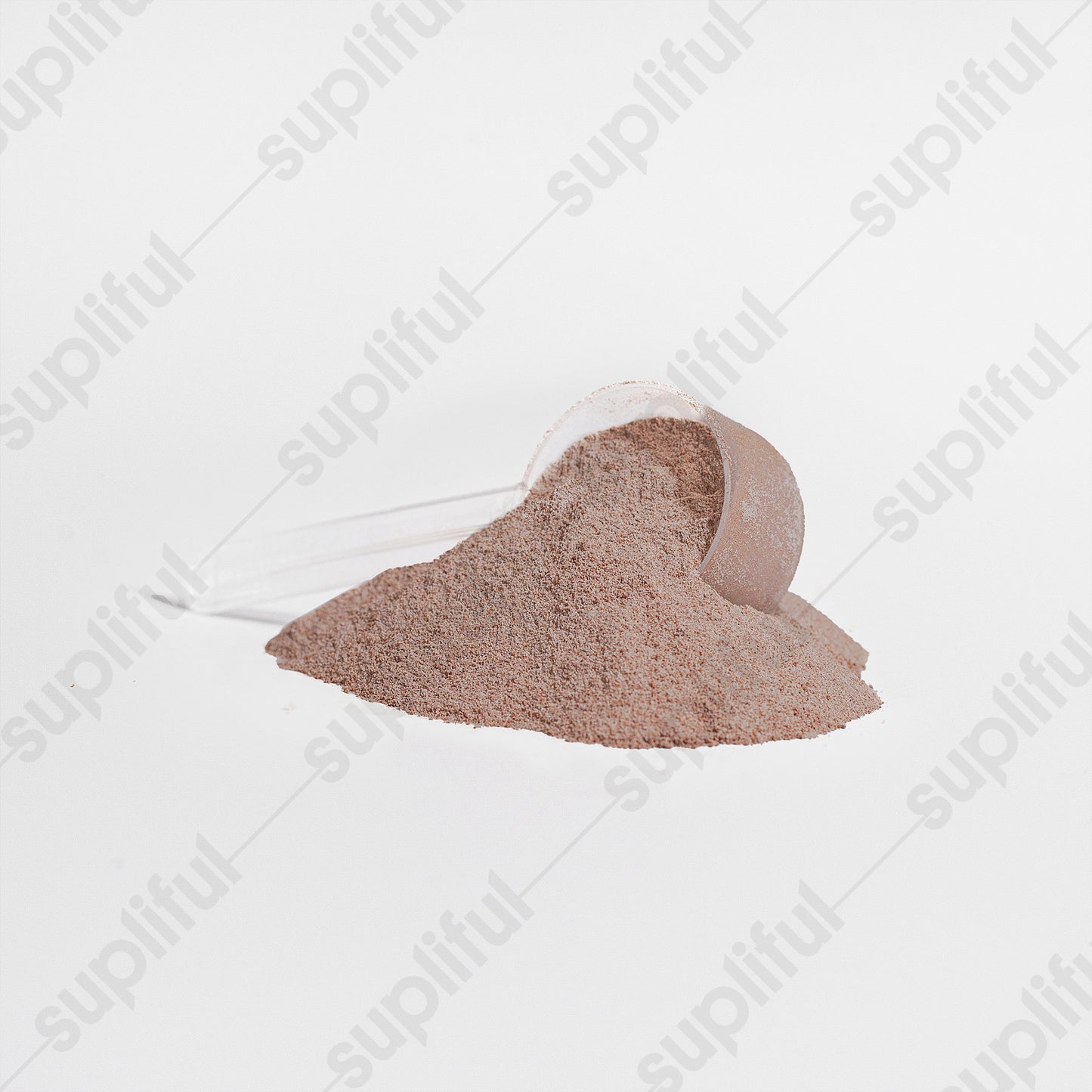 Whey Protein Powder (Chocolate)